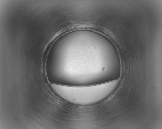 X0000063451165200601200947