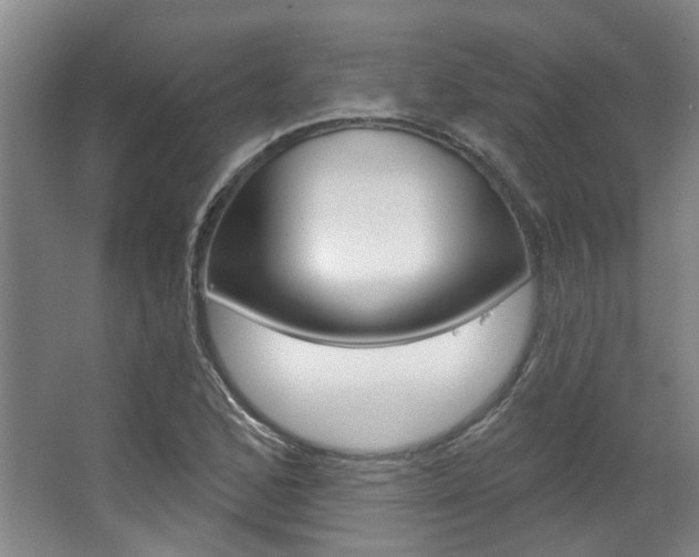 X0000063451168200601200947