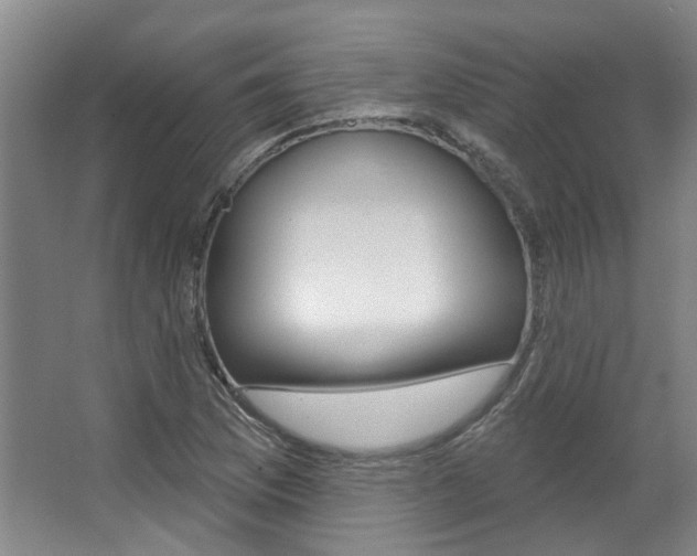 X0000063451169200601200947