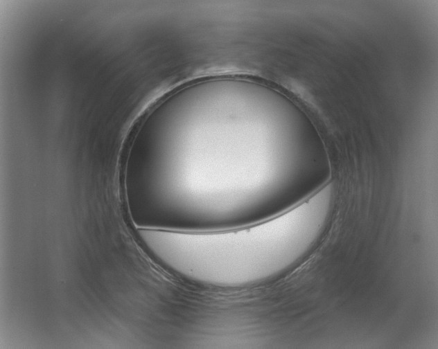 X0000063451173200601200947