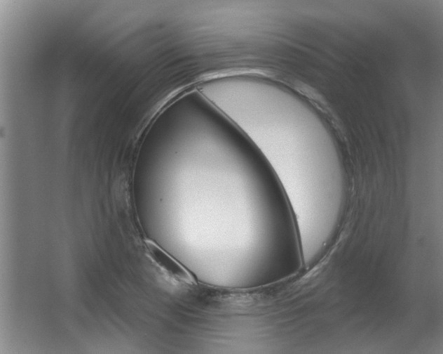 X0000063451177200601200947