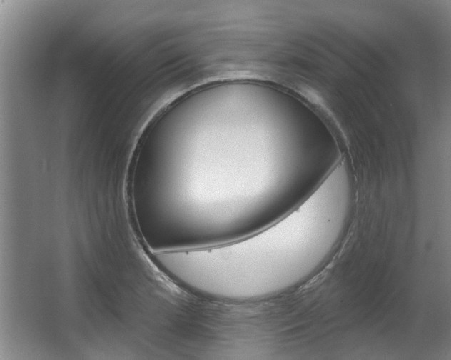 X0000063451181200601200947