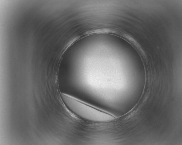 X0000063451193200601200947