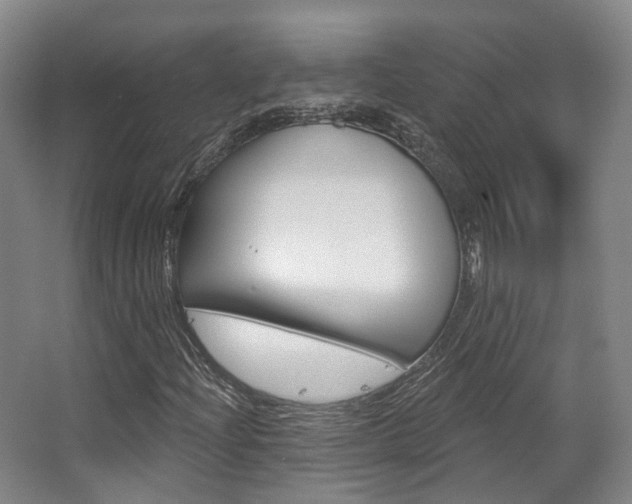 X0000063451204200601200946