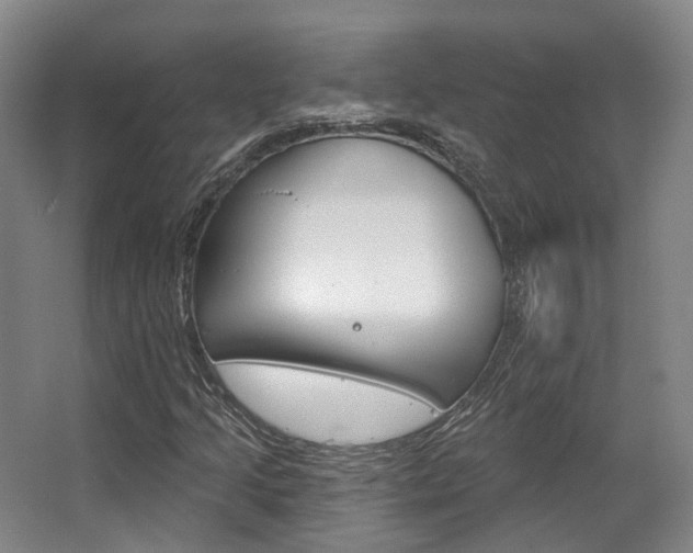 X0000063451205200601200946
