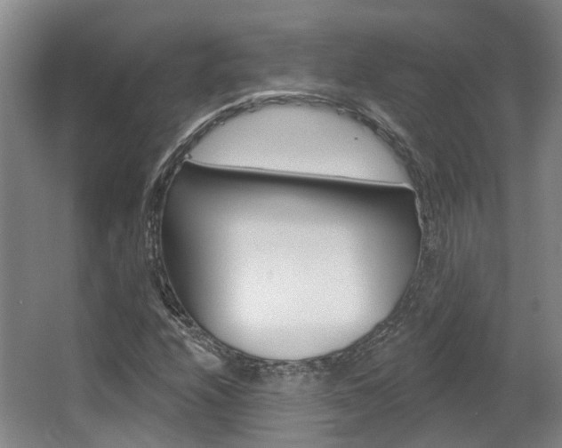 X0000063451208200601200946