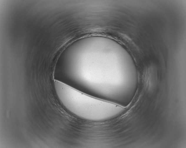X0000063451209200601200946