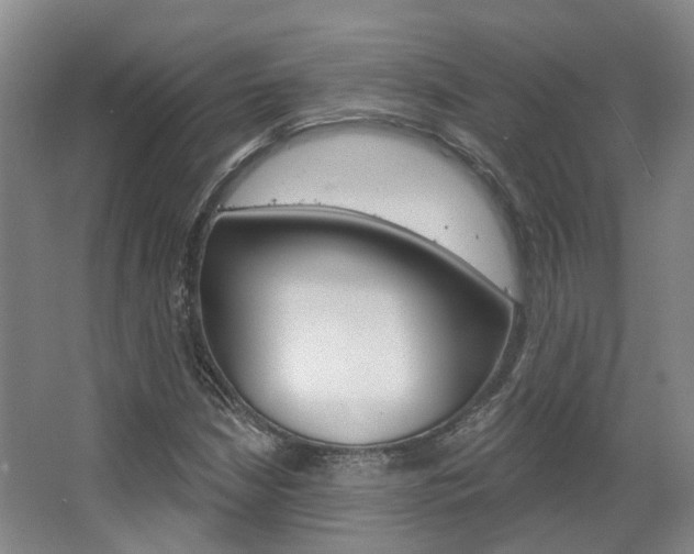 X0000063451210200601200946