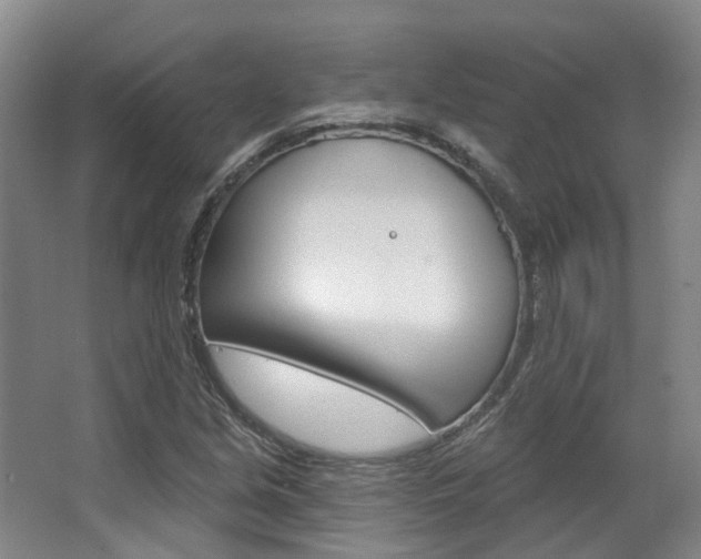 X0000063451213200601200946