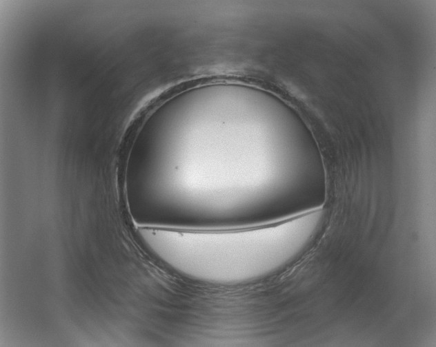 X0000063451214200601200946