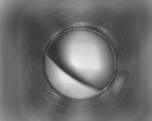 X0000063451217200601200946