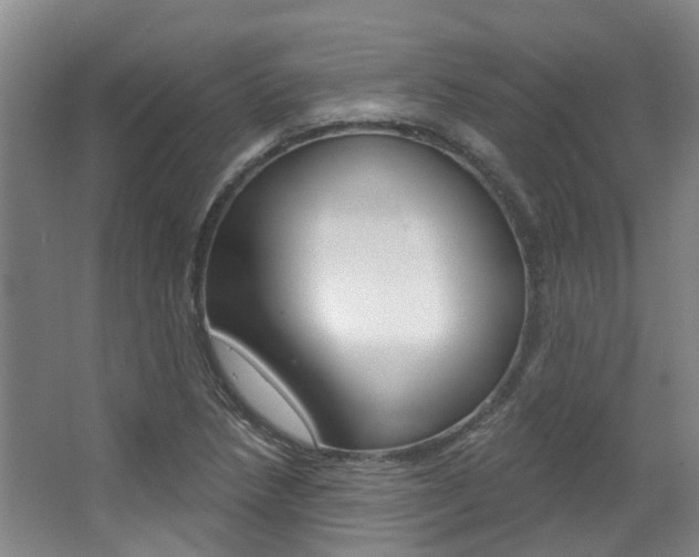 X0000063451218200601200946