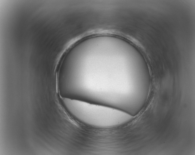 X0000063451223200601200946