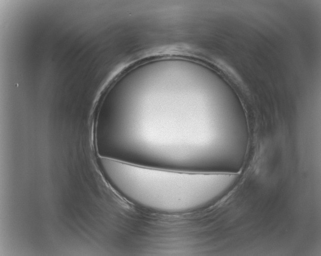 X0000063451224200601200946