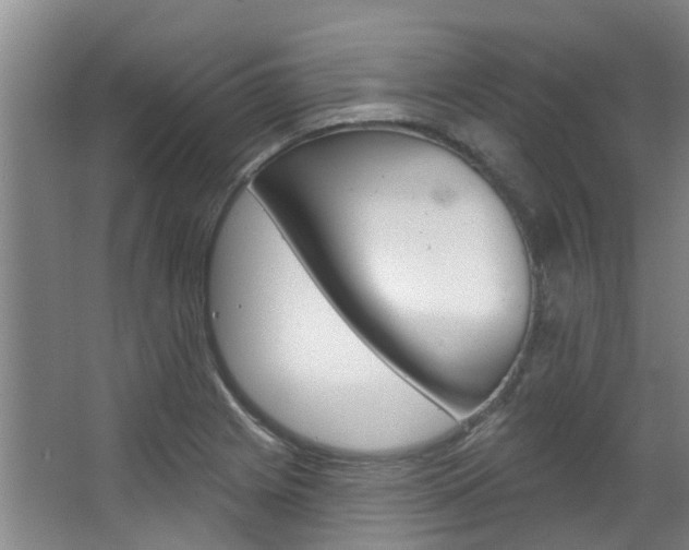 X0000063451225200601200946