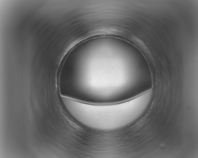 X0000063451226200601200946