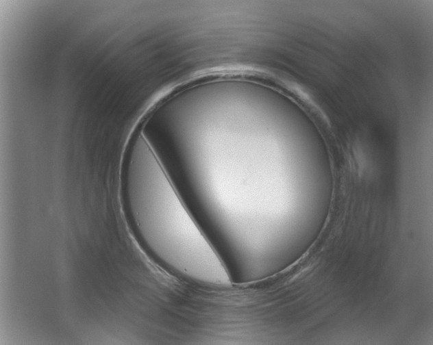 X0000063451229200601200946