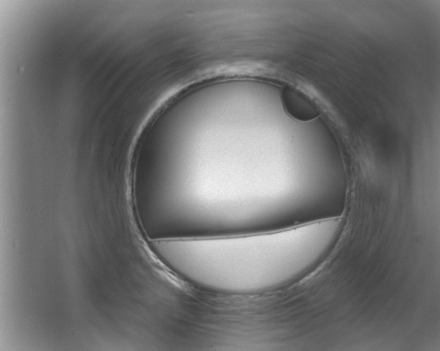 X0000063451232200601200946