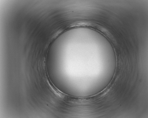 X0000063451233200601200946
