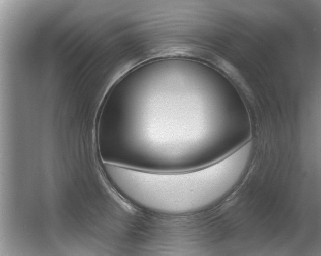X0000063451234200601200946