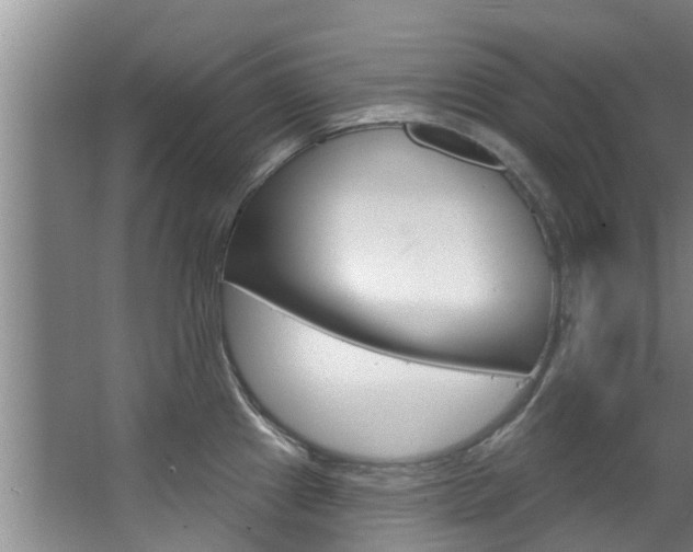 X0000063451241200601200946