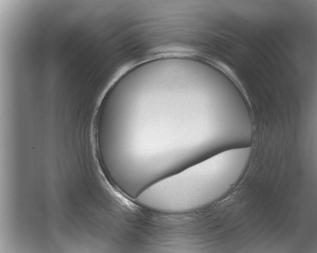 X0000063451243200601200946