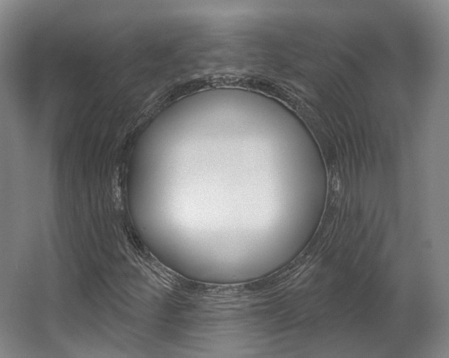 X0000063451252200601200946