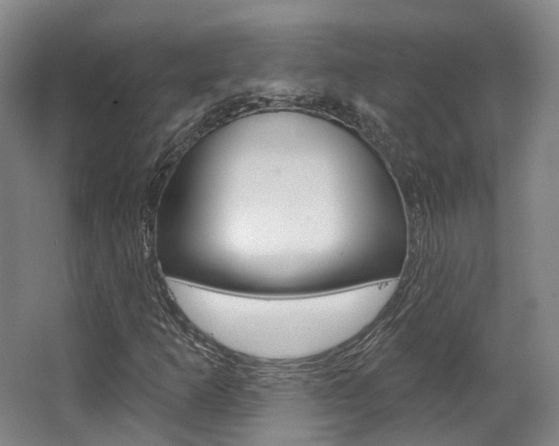X0000063451253200601200946