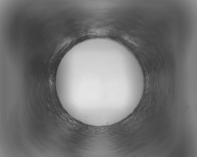 X0000063451254200601200946