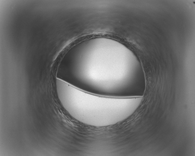 X0000063451256200601200945
