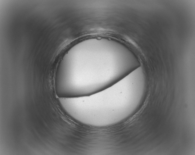 X0000063451259200601200945