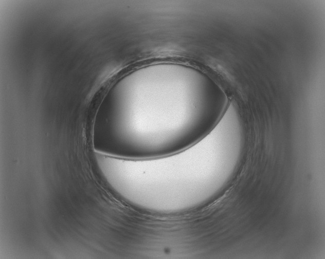 X0000063451261200601200945