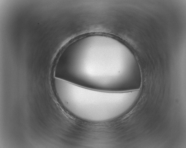 X0000063451264200601200945
