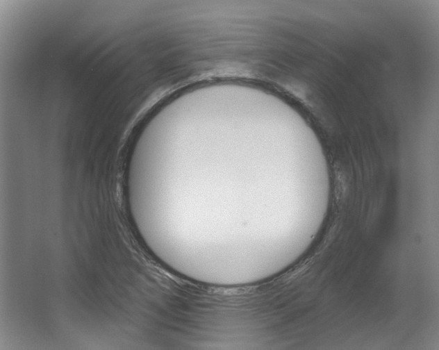 X0000063451266200601200945
