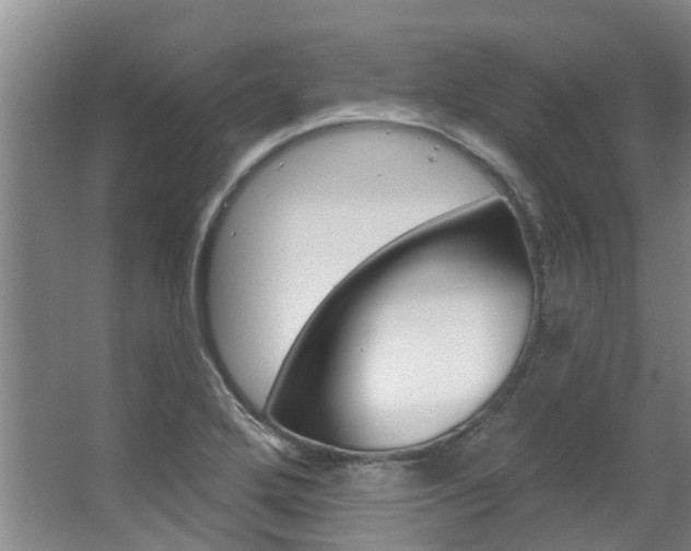 X0000063451272200601200945