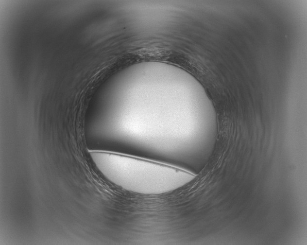 X0000063451297200601200944