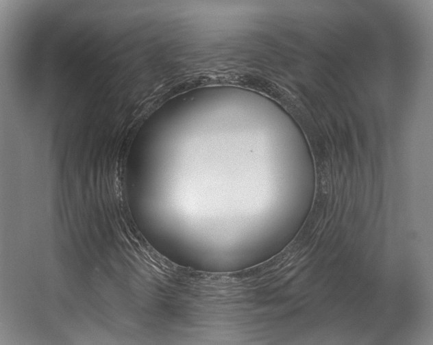 X0000063451298200601200944