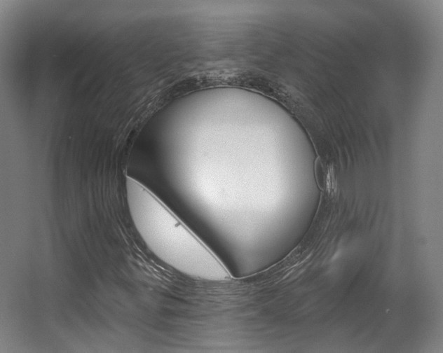X0000063451299200601200944