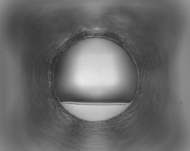 X0000063451301200601200944