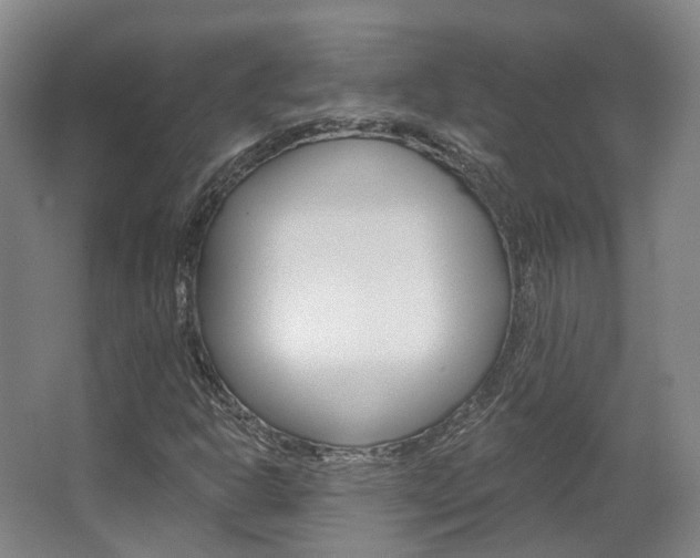 X0000063451302200601200944