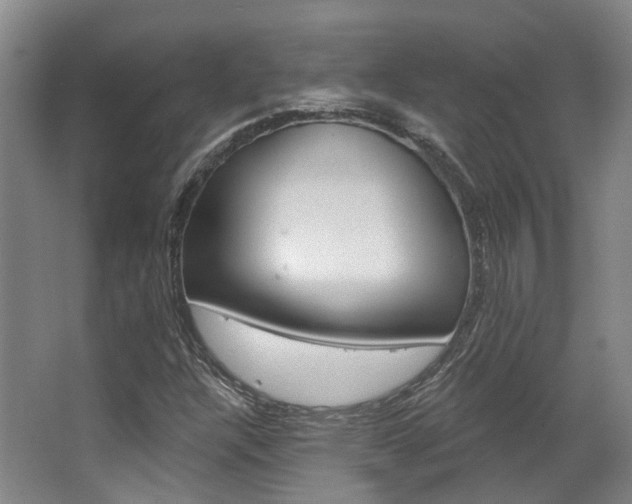 X0000063451304200601200944