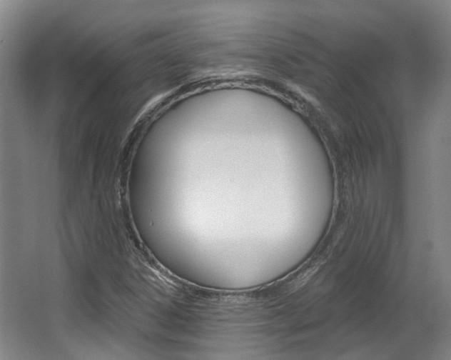 X0000063451306200601200944