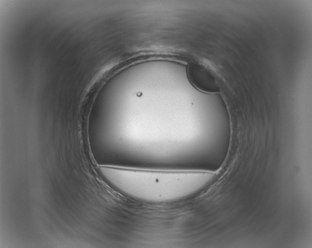 X0000063451307200601200944