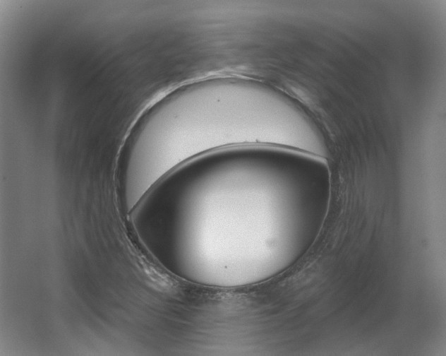 X0000063451308200601200944