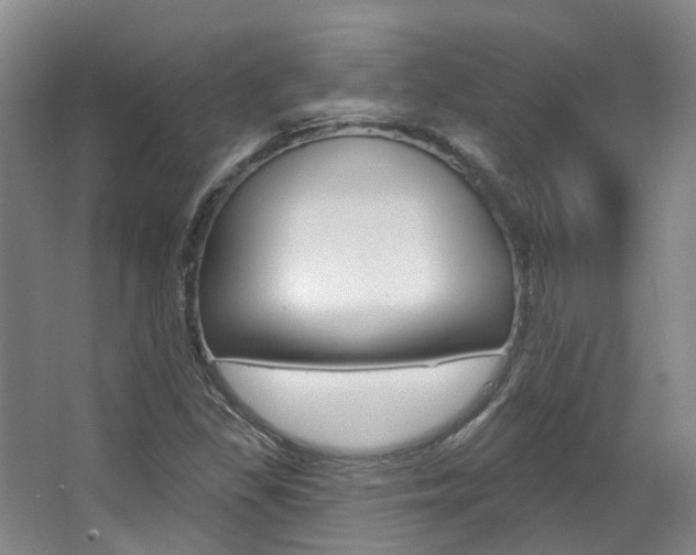 X0000063451309200601200944