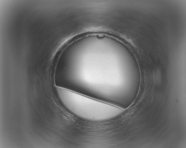 X0000063451311200601200944