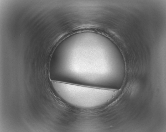 X0000063451313200601200944