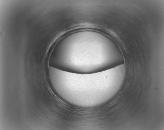 X0000063451318200601200944