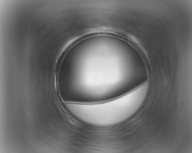 X0000063451320200601200944