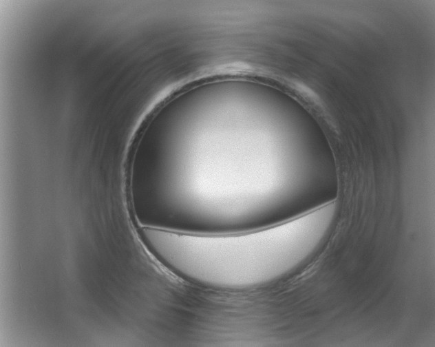 X0000063451326200601200944
